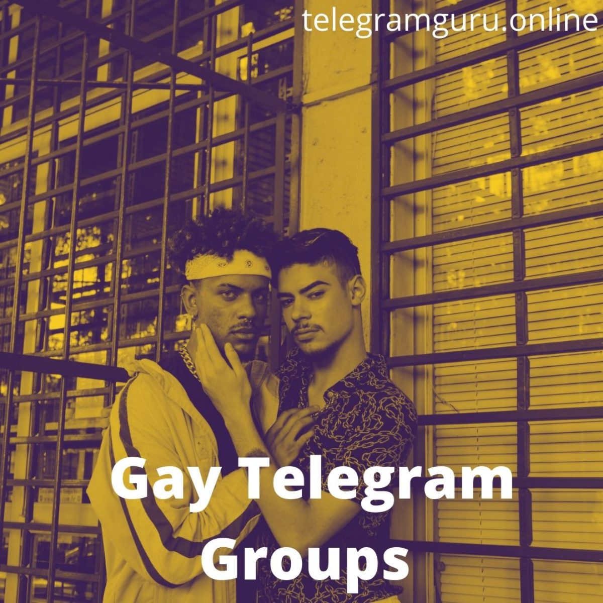 Gay telegram group