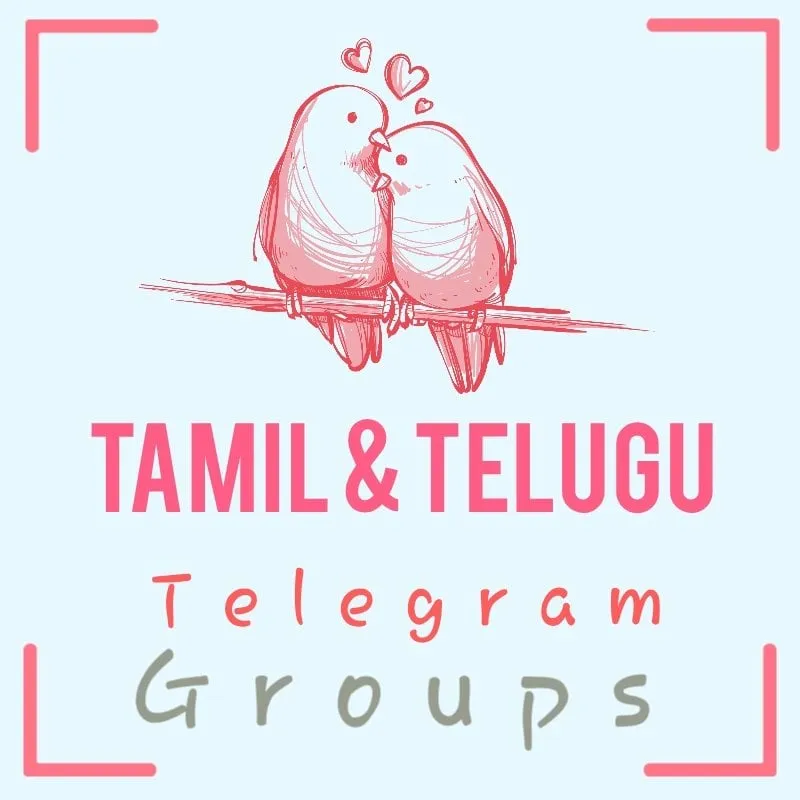 Logopit 15822613472808711350235996672040