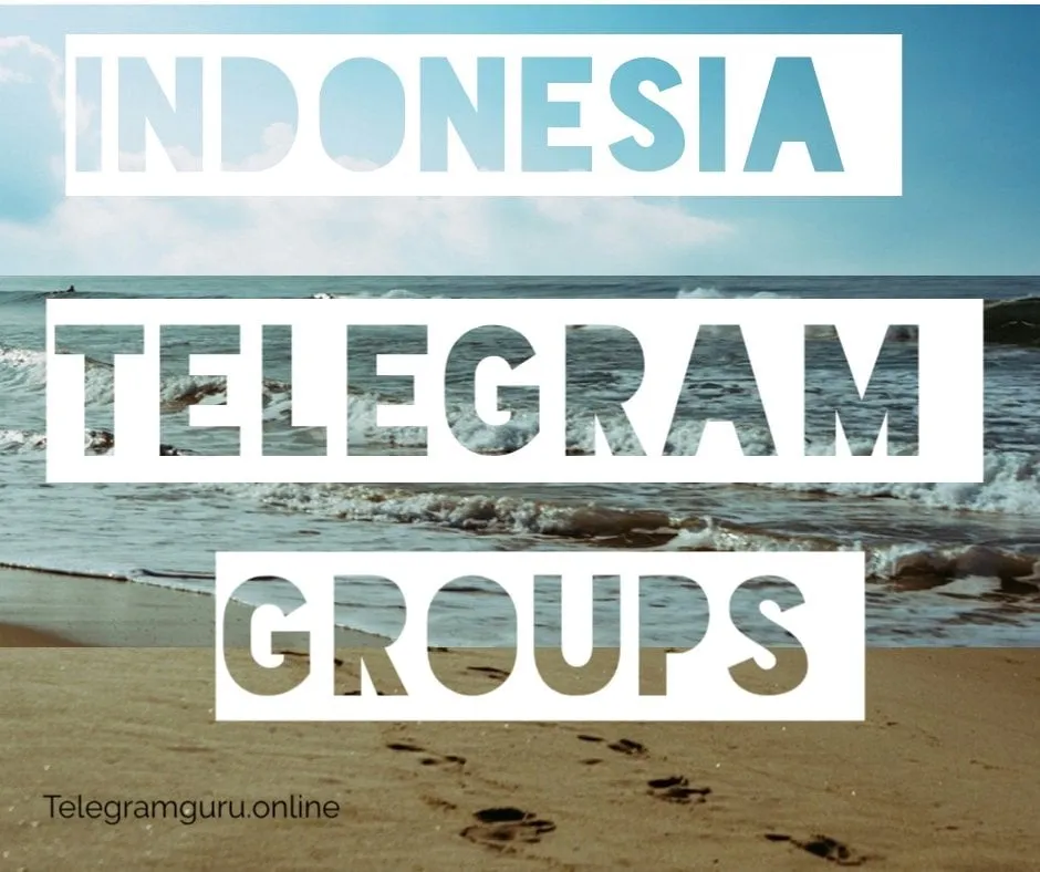 Logopit 15829557553251862853300543115219